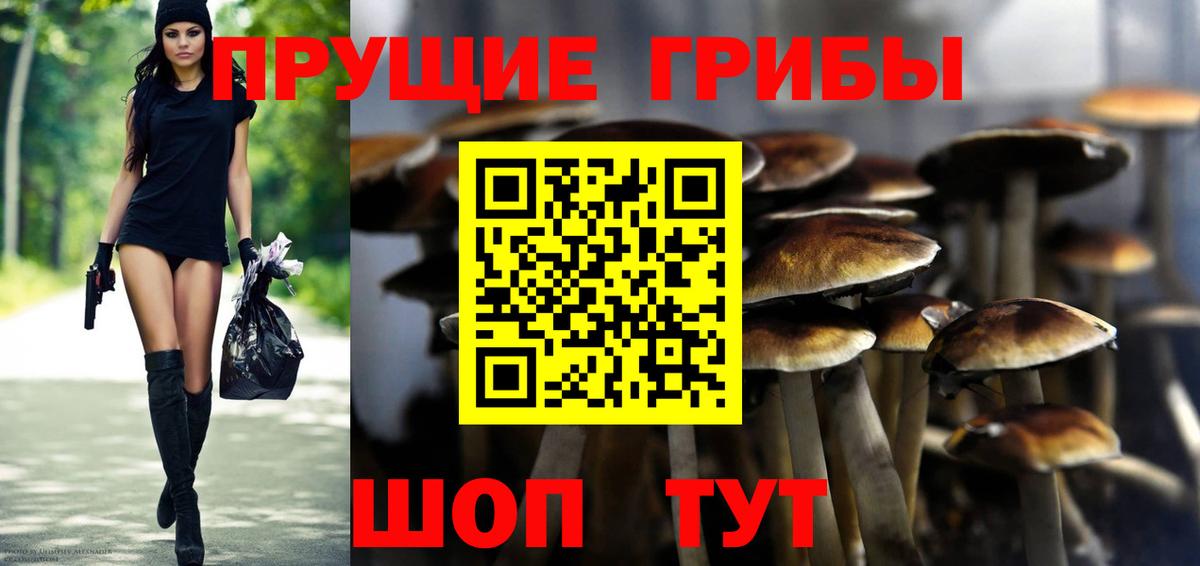 наркота  Вход с VPN  Павловский Посад  Галлюциногенные грибы Magic Shrooms 
