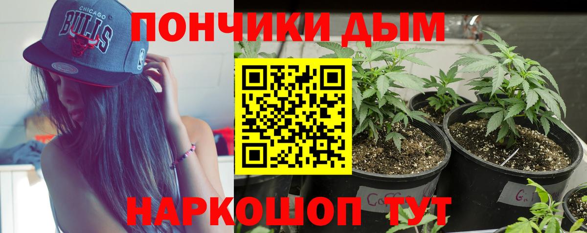 Конопля сатива  Канабис семена  Павловский Посад  Вход с VPN  МАРИХУАНА THC 21% 